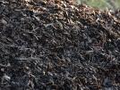 Rindenmulch